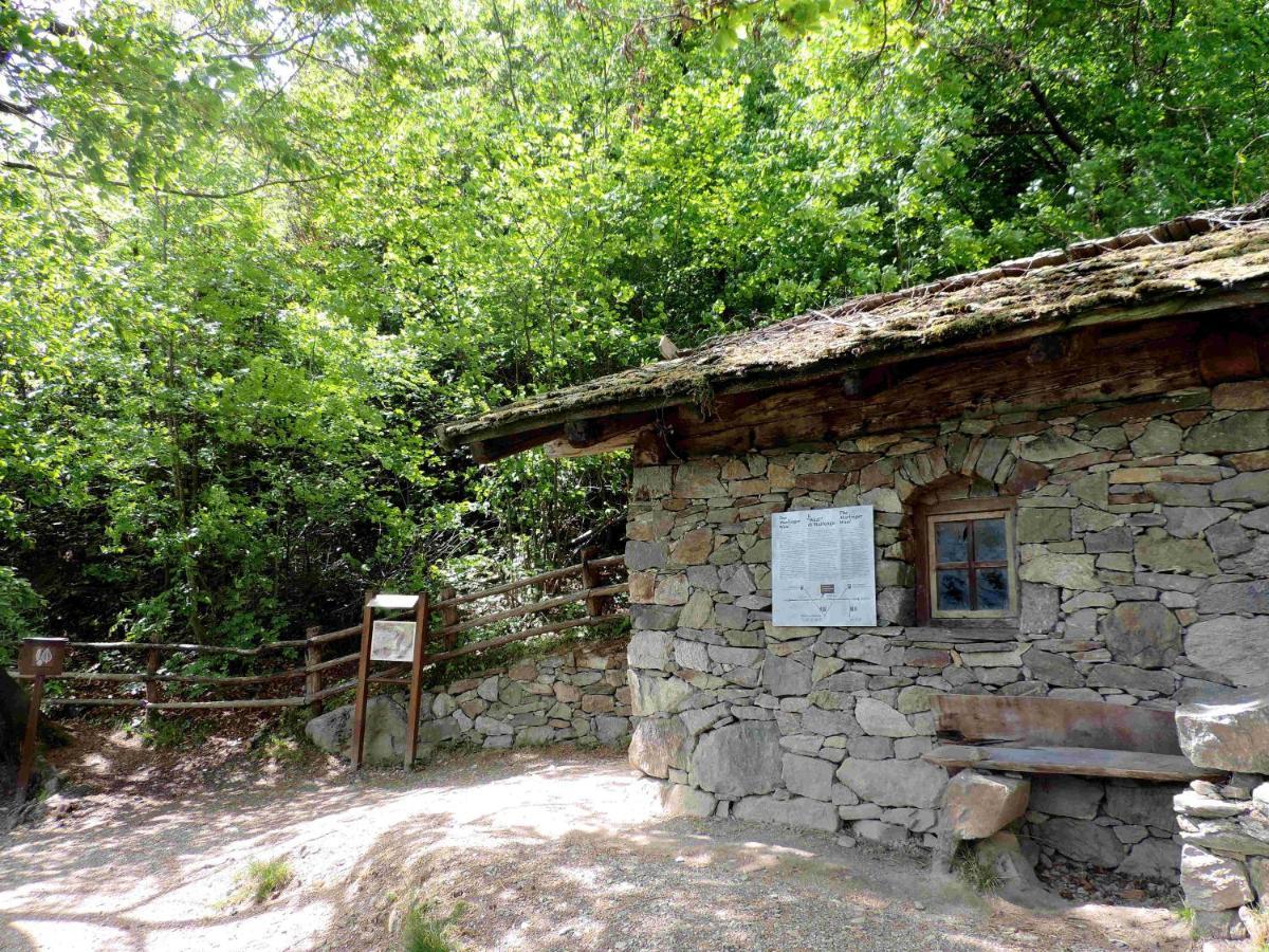 Boutique Appartamento Bacchus Marlengo Zewnętrze zdjęcie